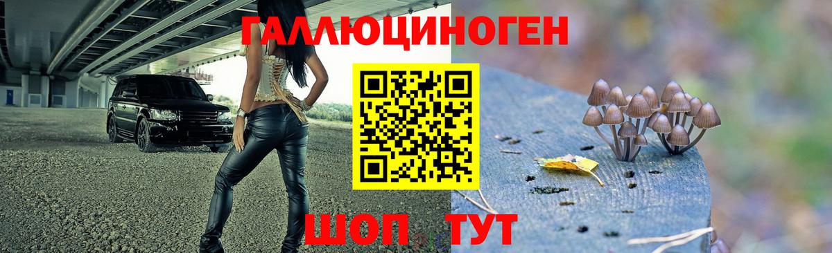 Псилоцибиновые грибы MAGIC MUSHROOMS  Вход с VPN  Наро-Фоминск 